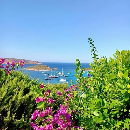 Punta Est - Mono Ostro Terrazza Fronte Mare