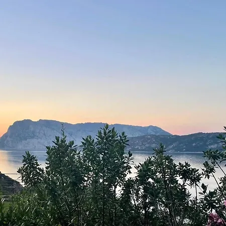 Punta Est Delizioso Monolocale Vista Mare 아파트 *