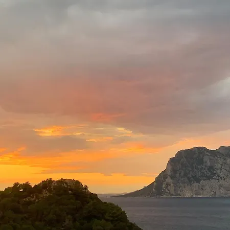 Punta Est Delizioso Monolocale Vista Mare