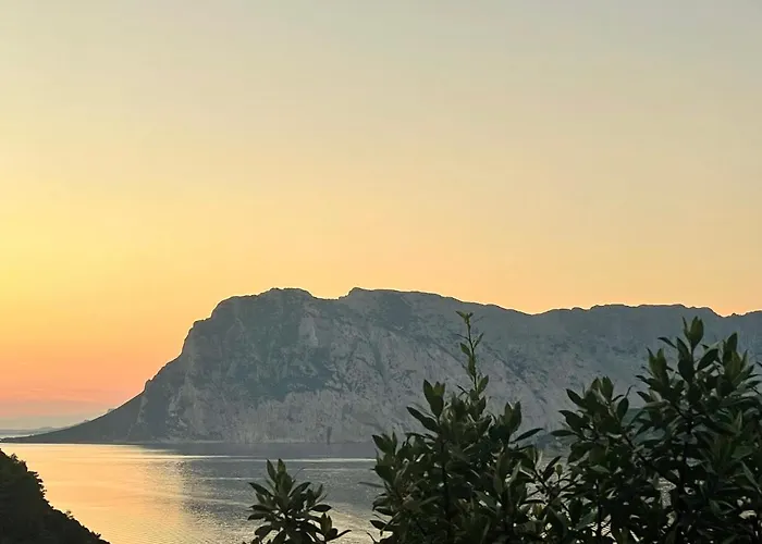 Punta Est Delizioso Monolocale Vista Mare