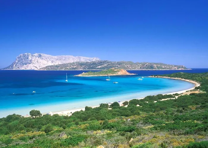 Punta Est Delizioso Monolocale Vista Mare *